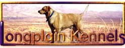 Longplain Kennels, Reg'd. 
	-- click here to access the no-frames site map